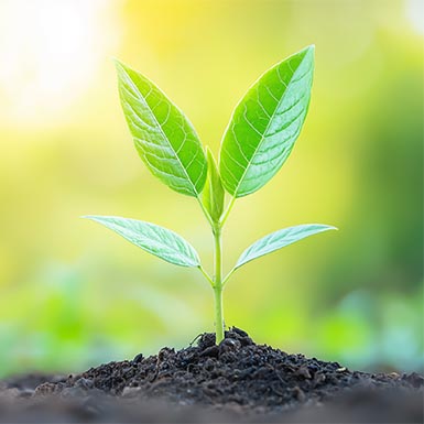 Nonprofits Investing in Impact: Maximizing Resources for a Brighter Tomorrow